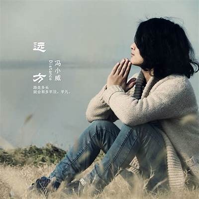 《远方全集在线免费观看，畅享高清精彩剧情》